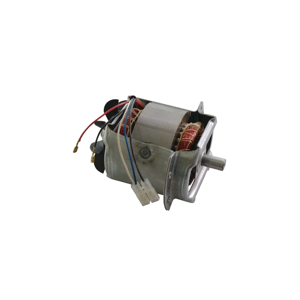 Motor electric 12516000201