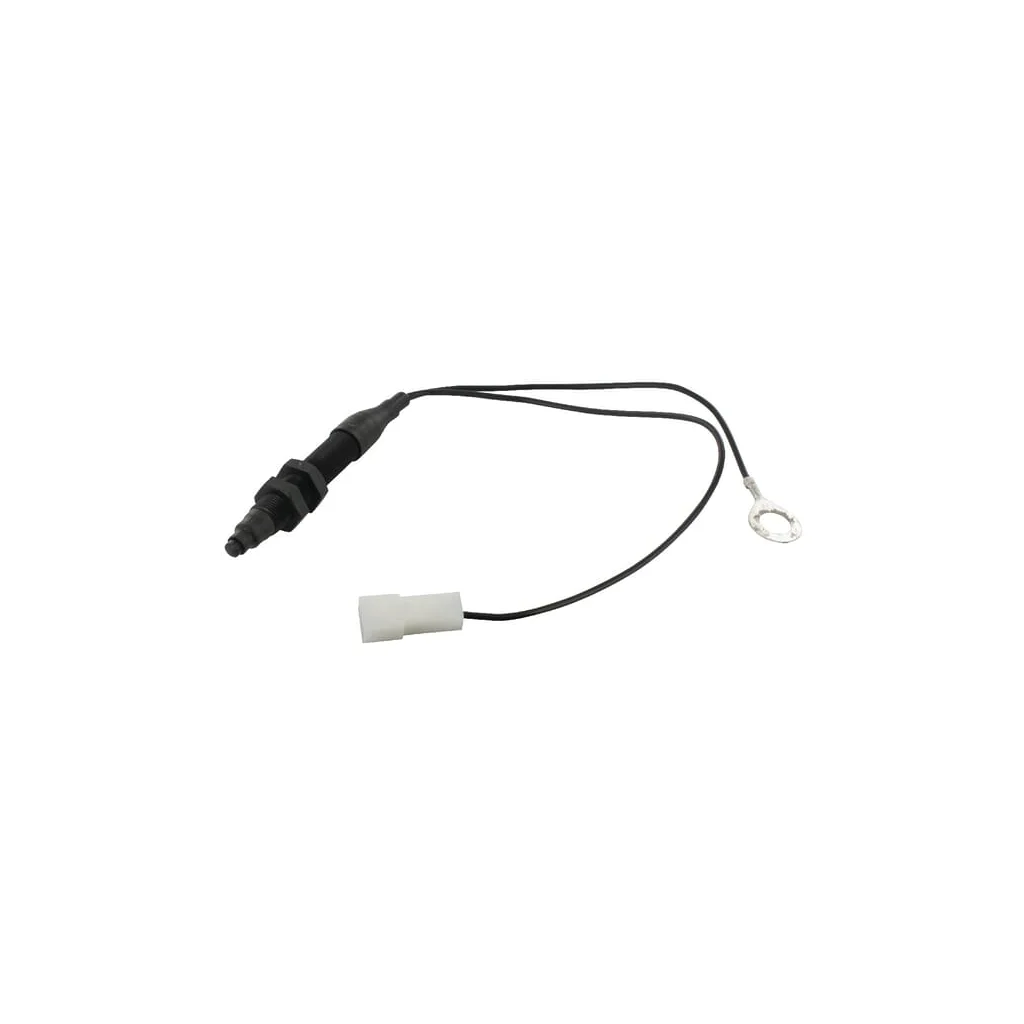 Întrerupător de siguranţă CNH 1534118C1