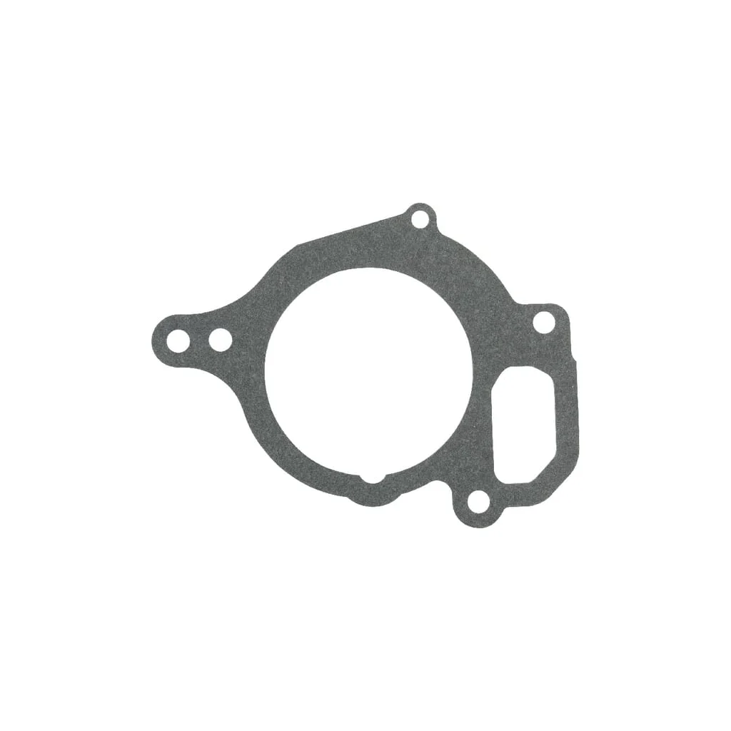 Garnitură pompă apă CNH 132000060714