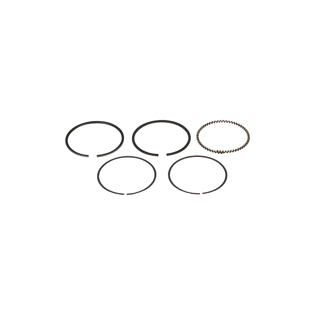 Set segmenți piston 13010Z0S801