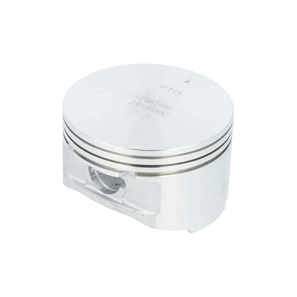 Piston 1300302890001