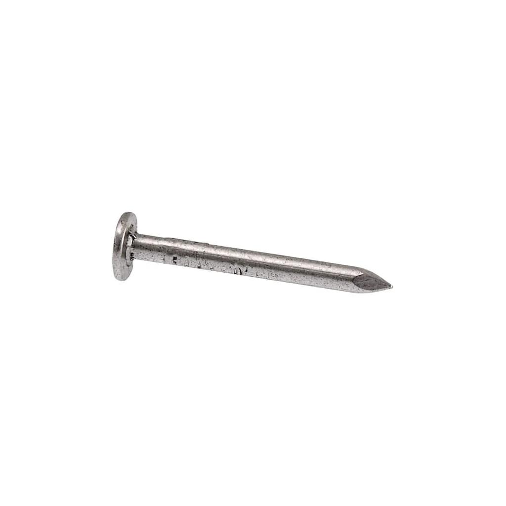 Cuie de construcţii pentru carton asfalt, 3,0 x 30 mm 1545153030