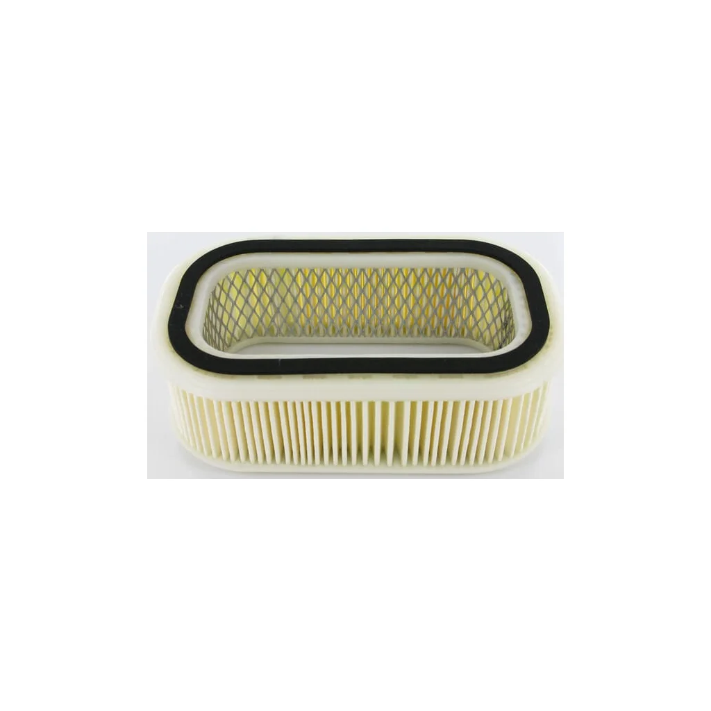 Filtru de aer FD620D 110132204