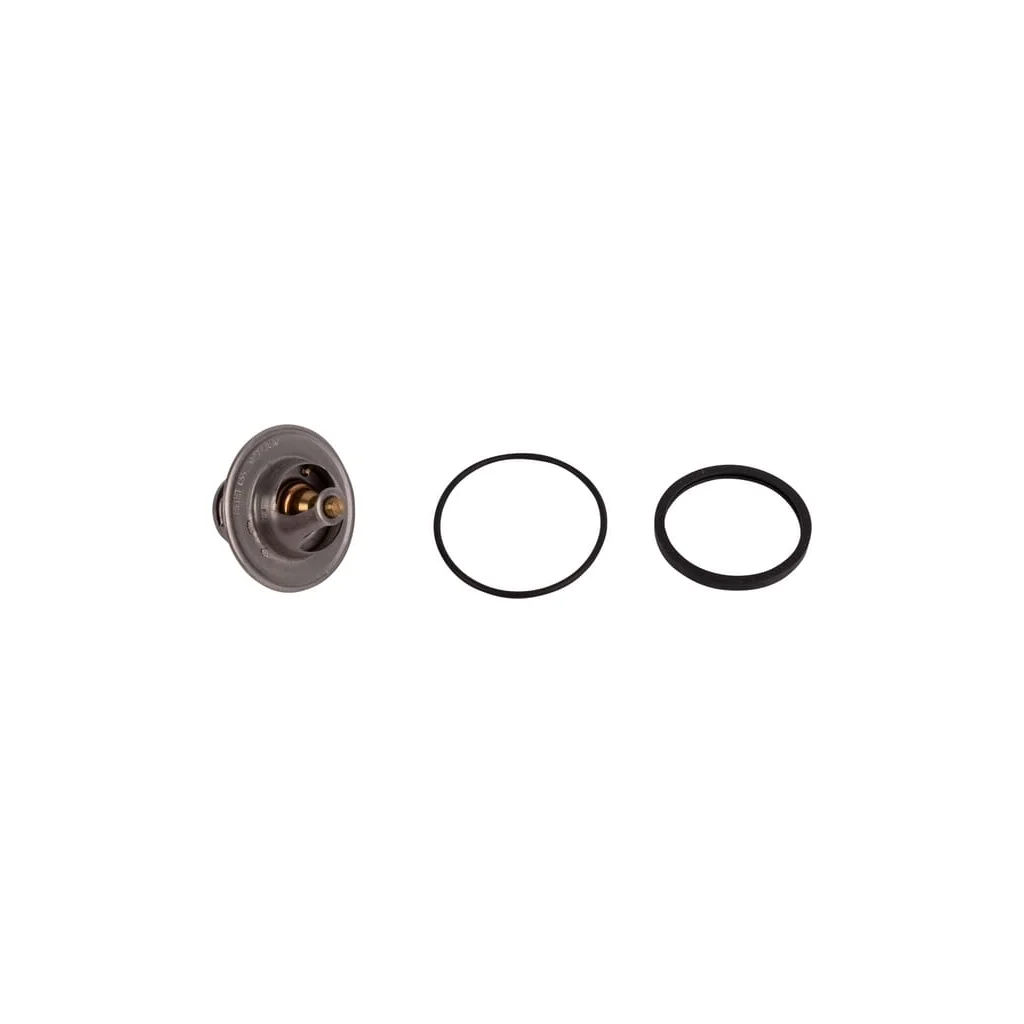 Termostat 1545173010N