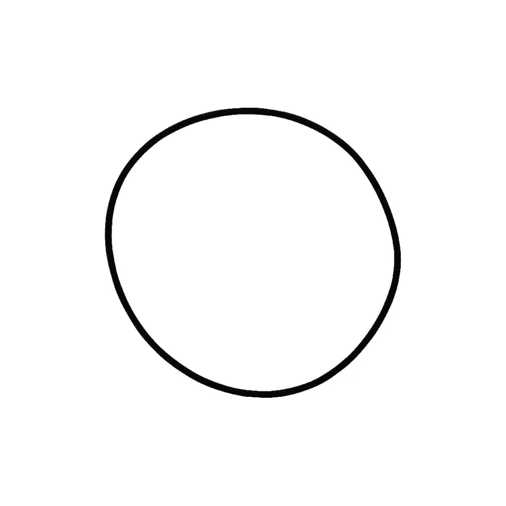 O-ring 1120700801
