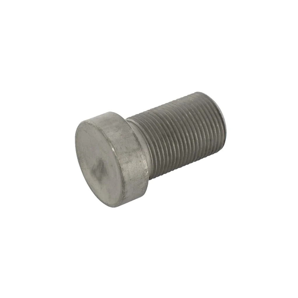 Șurub cap cilindric plat M22x1,5mm Scharmüller 109532001