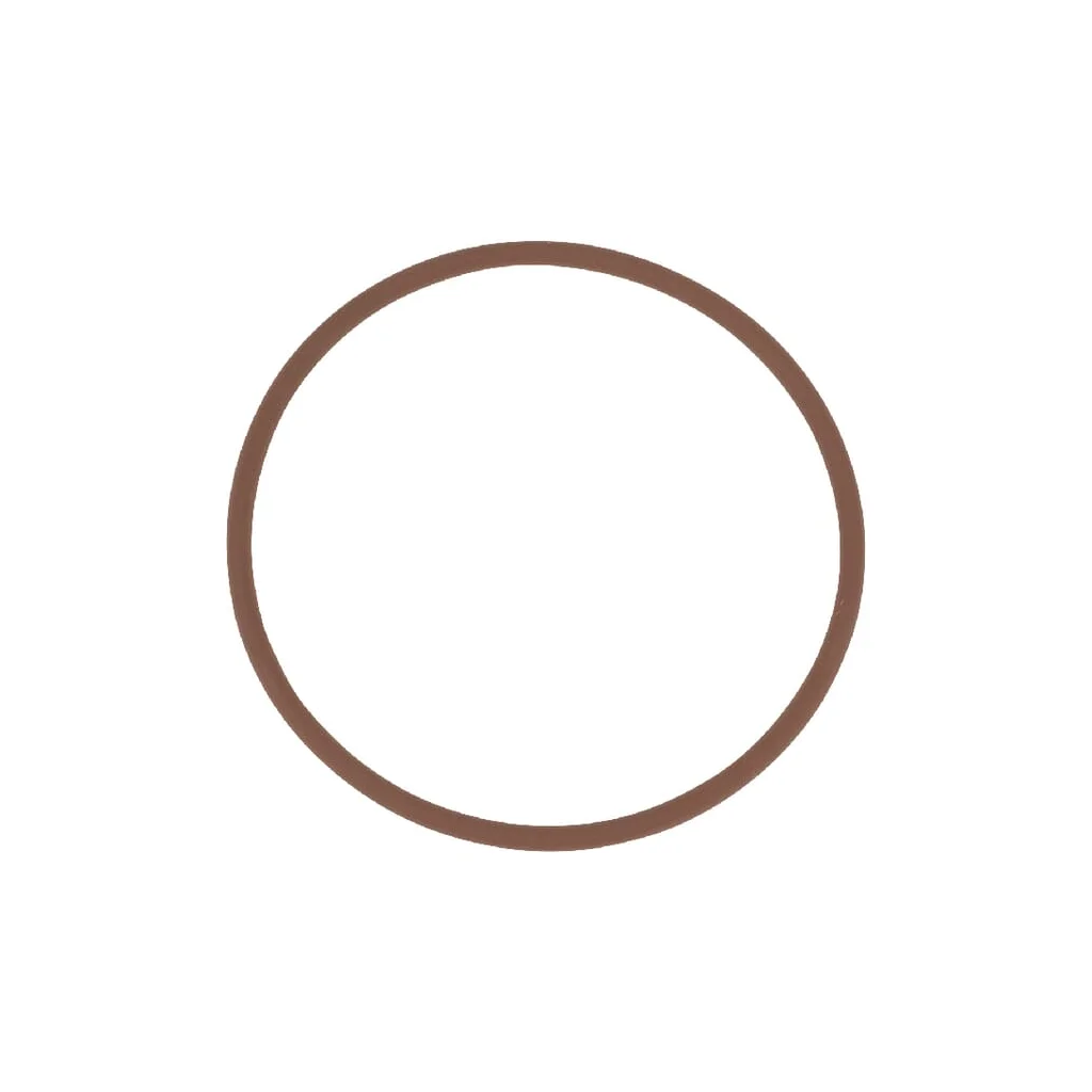 O-ring 14459881