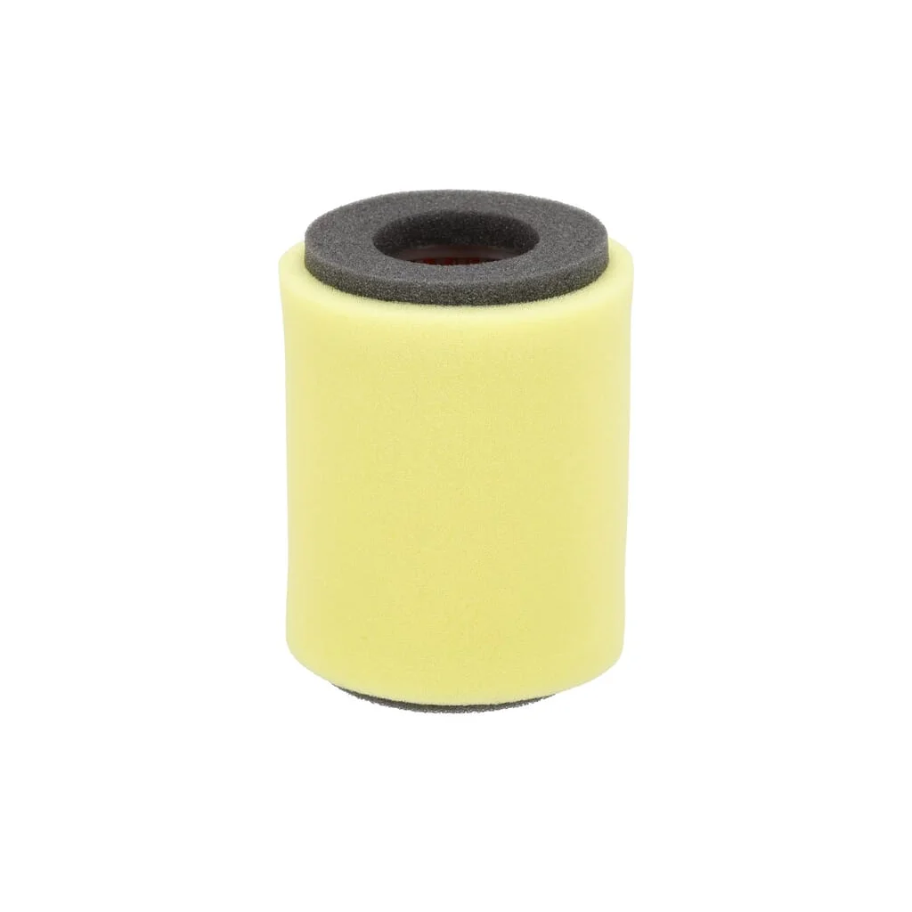Element filtru de aer 110131263