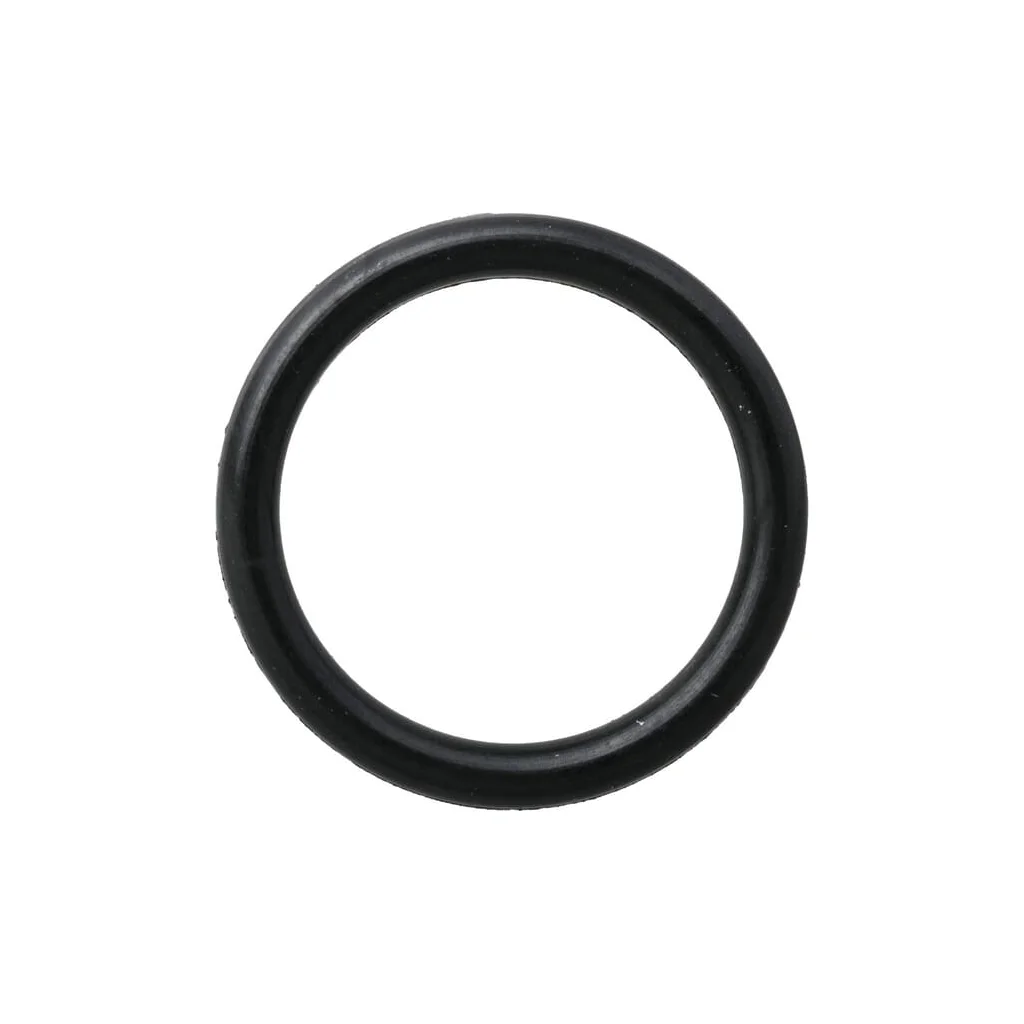 O-ring 14453181N