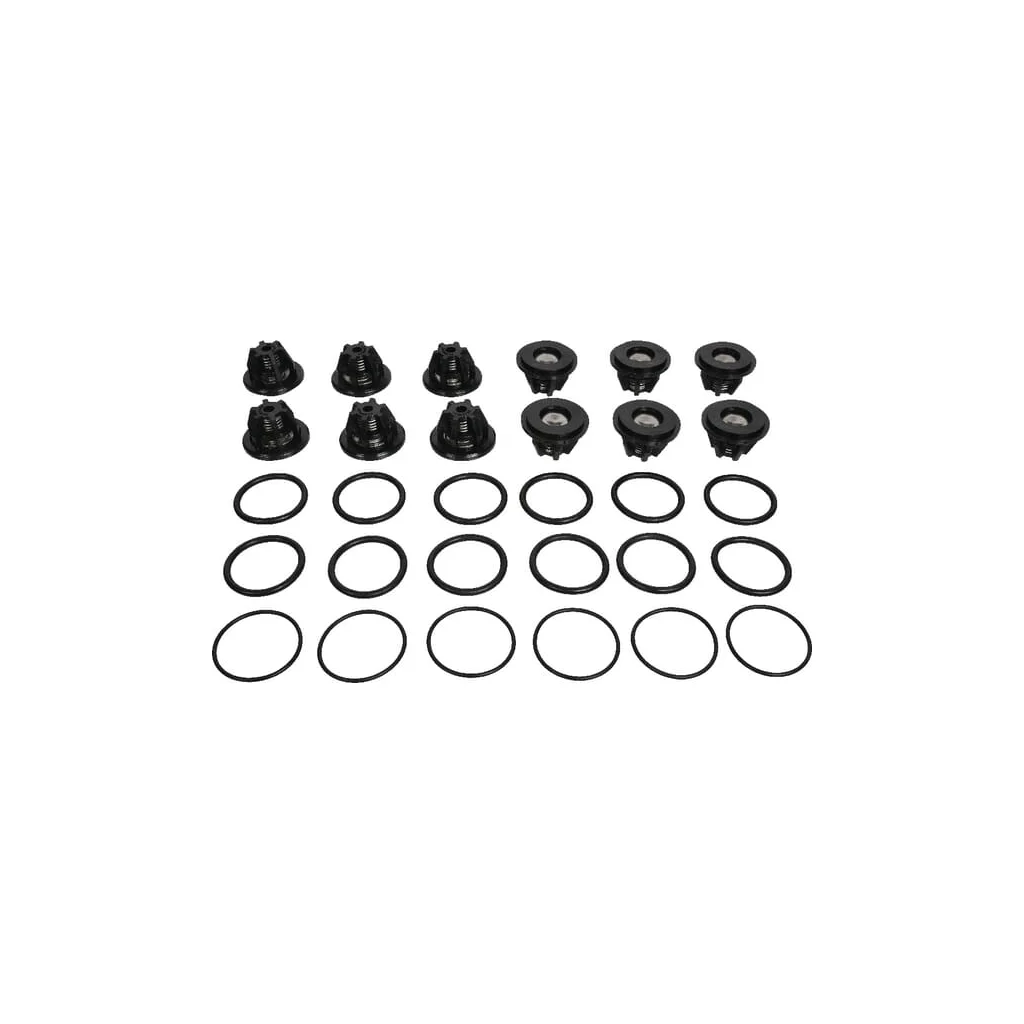Set de ventil Bertolini 149875973