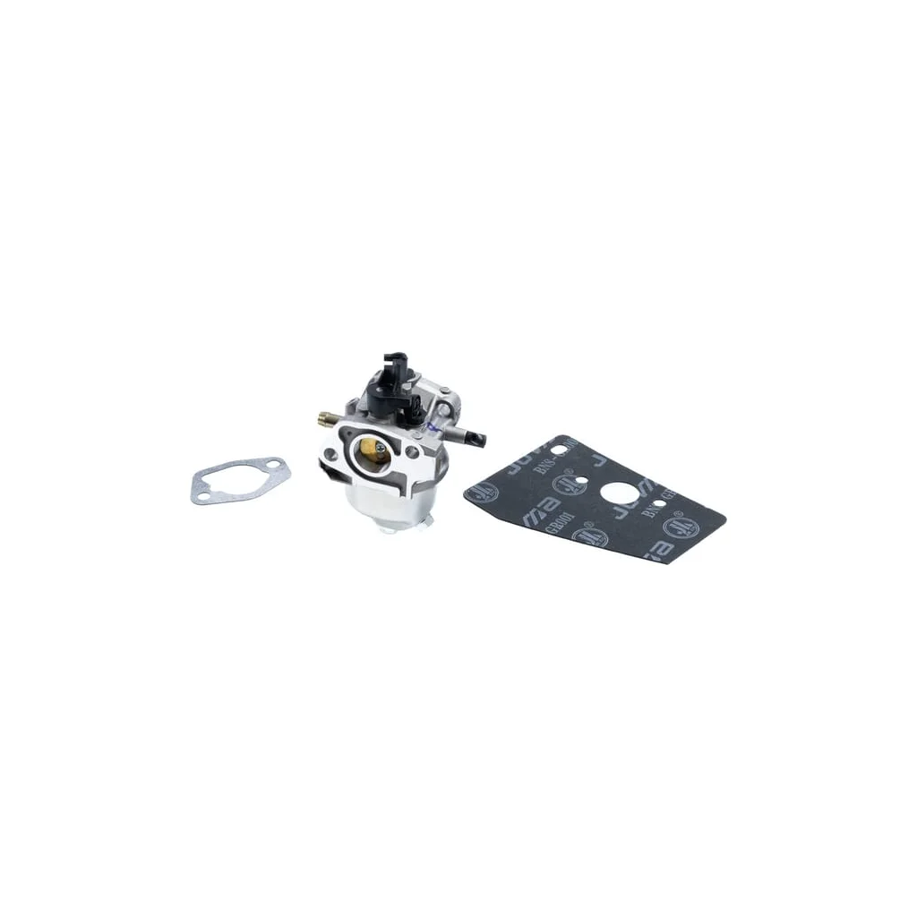 Kit carburator și garnituri 1485322S