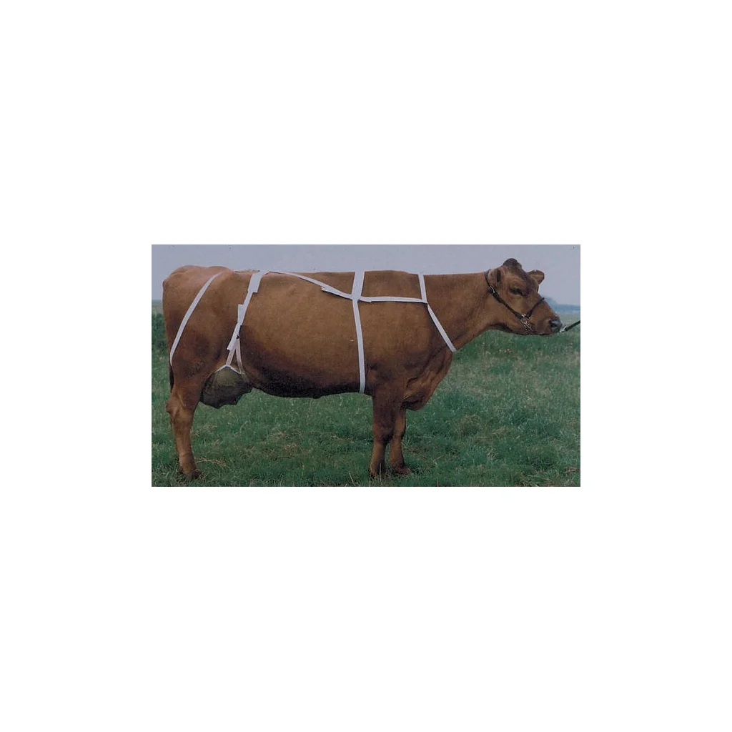 Protecție pentru uger cu ham XL 1579060418