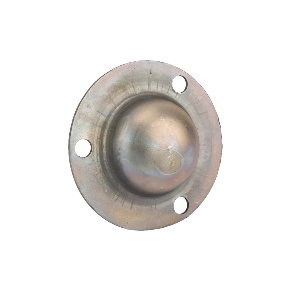 Capac butuc 139300030030