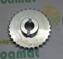 Pinion Z-30 AC820800
