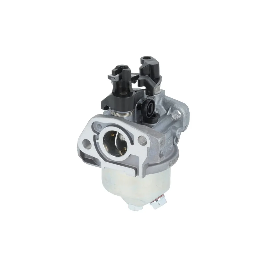 Carburator 1700218740001