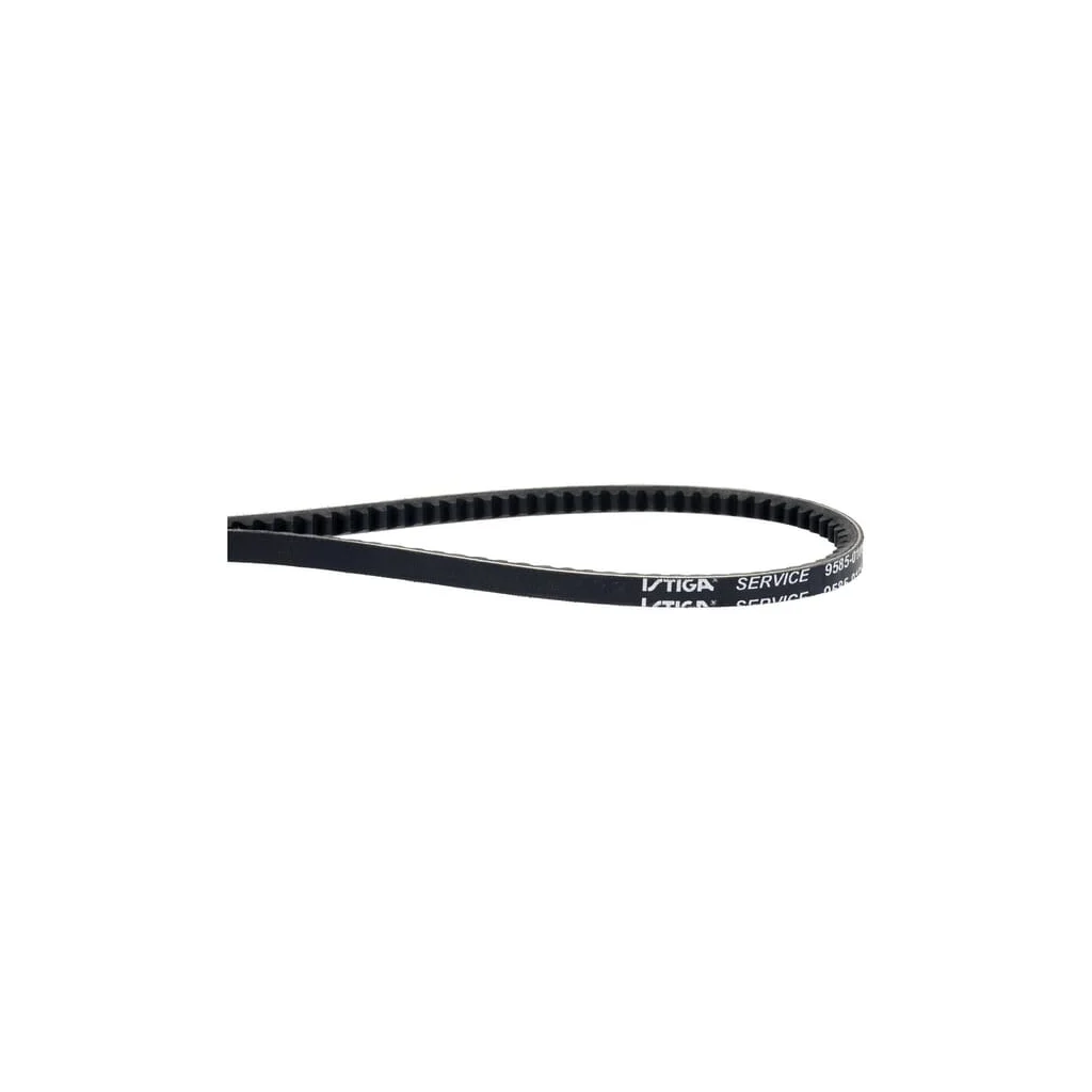 Curea de transmisie 1134900601