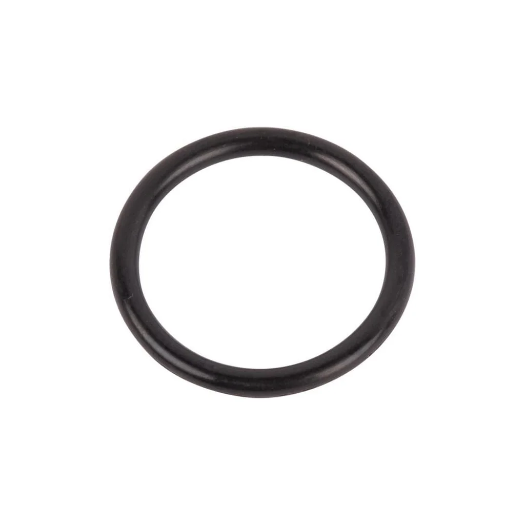 O-ring 167269