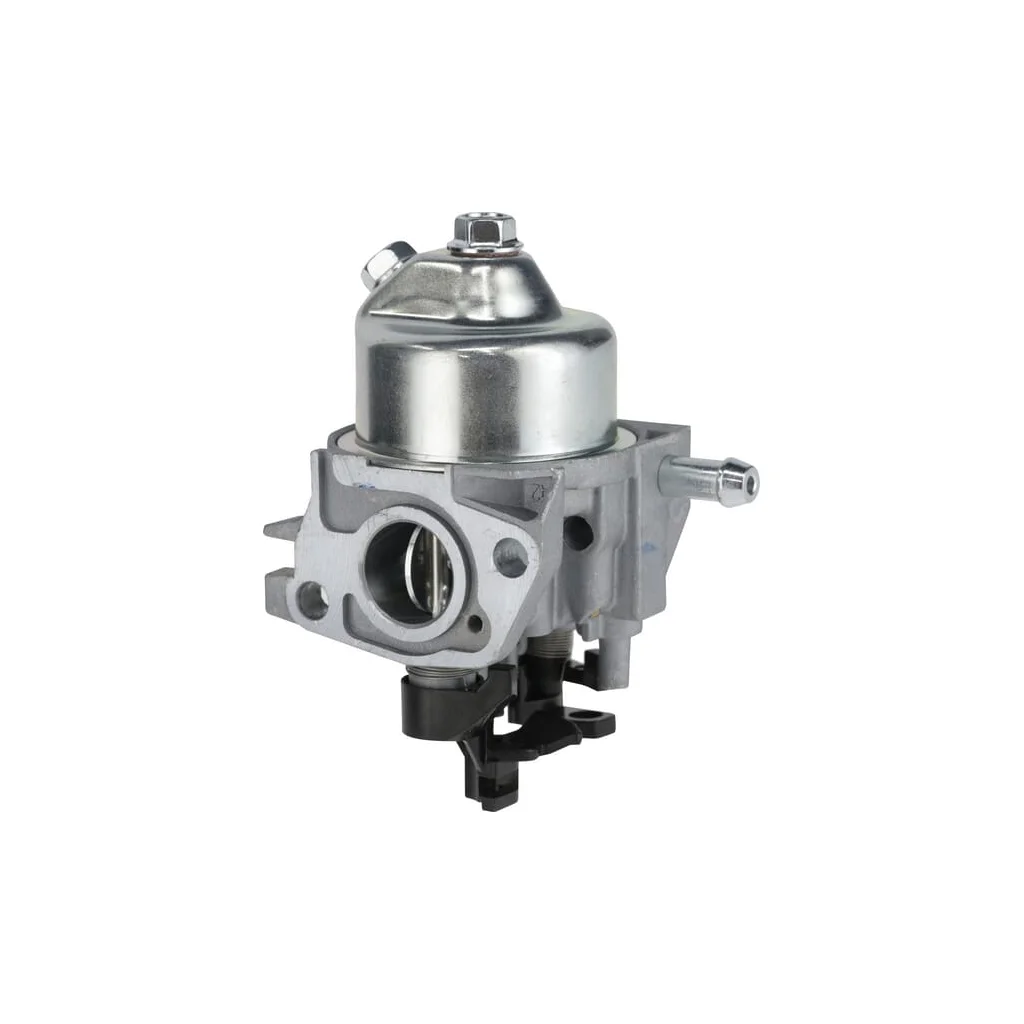 Carburator 1700220100002