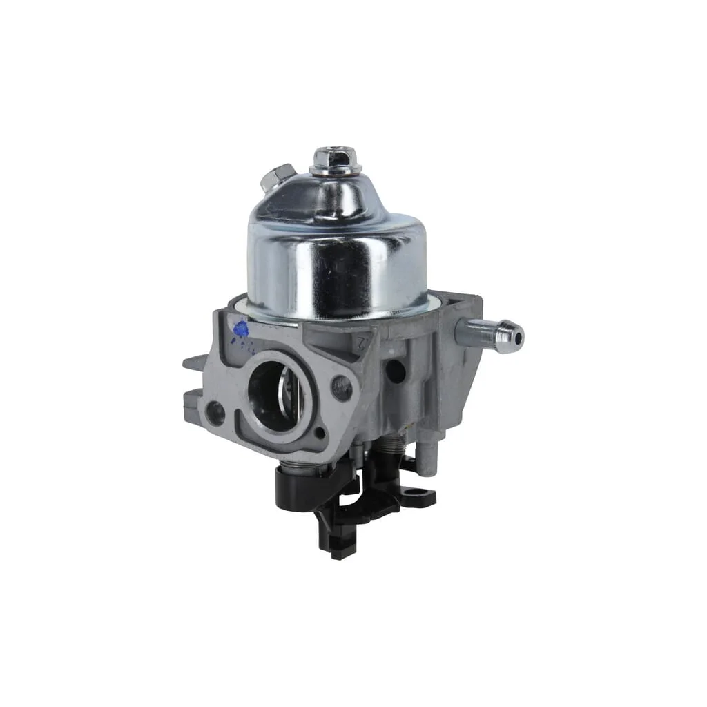 Carburator 1700223640001
