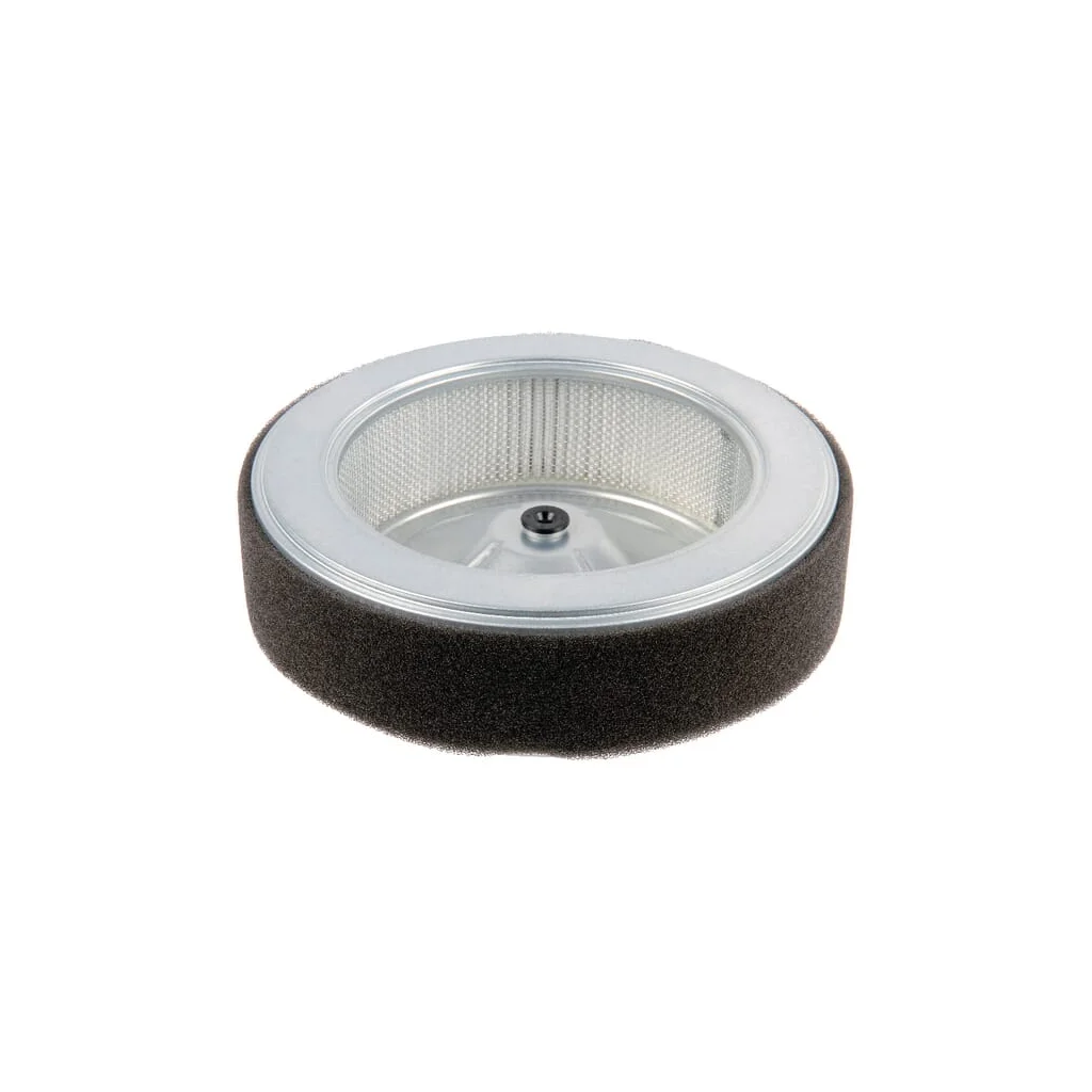 Filtru de aer 17210Z6L010