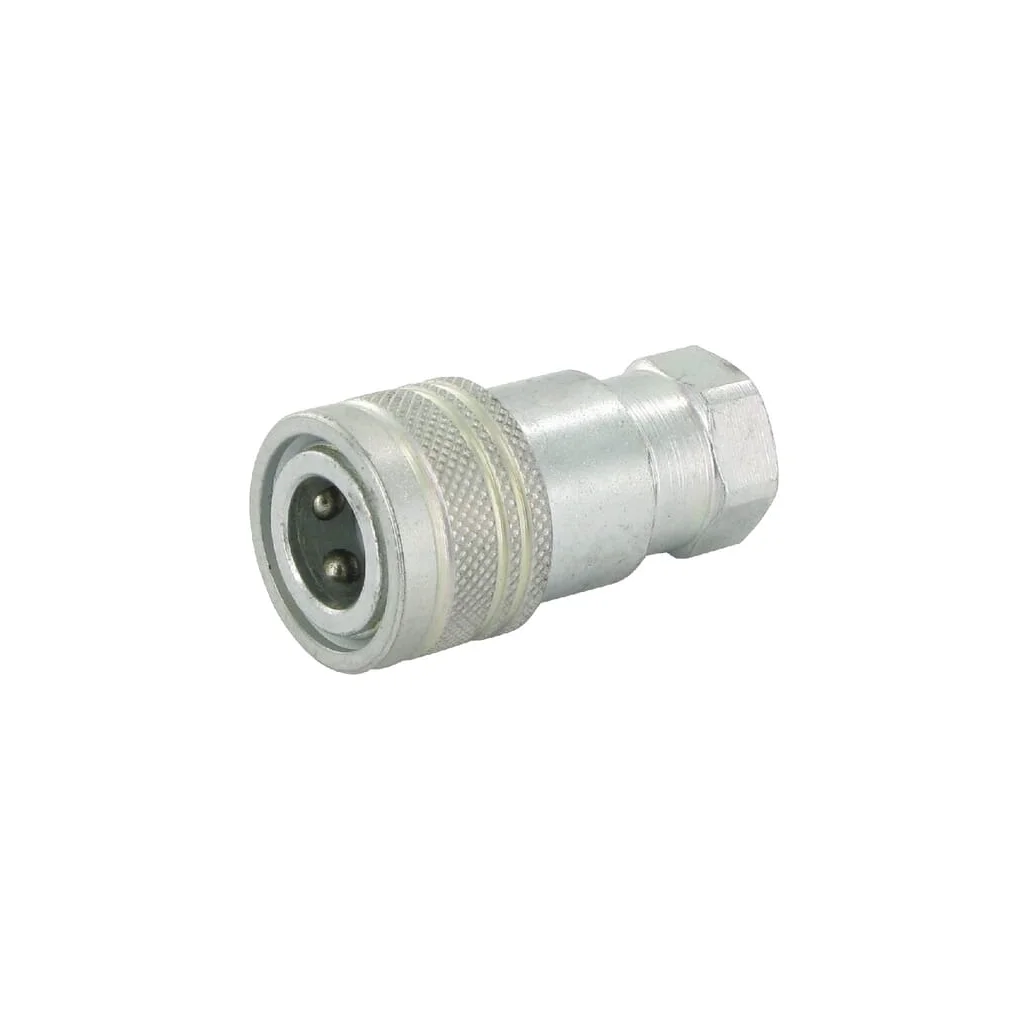 Mufă hidraulică 1/4" 1134717201