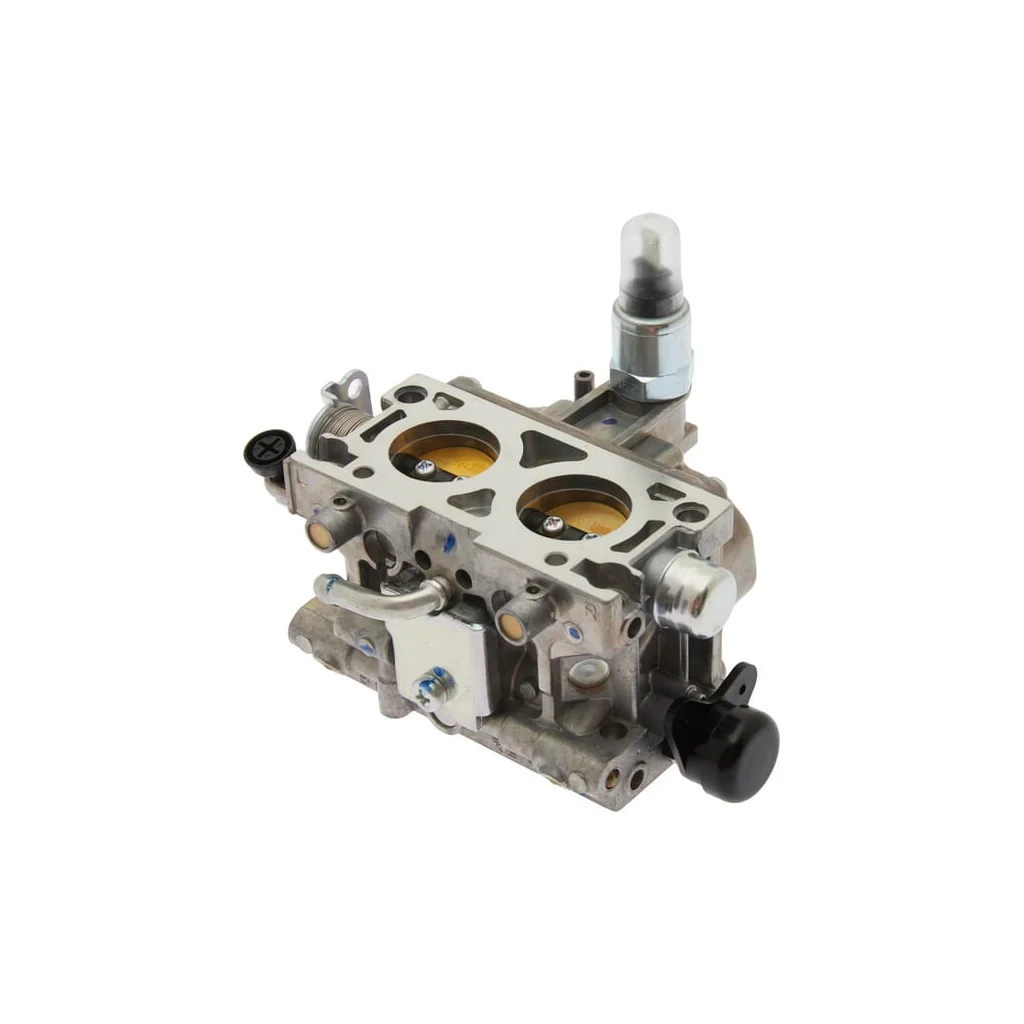 Ansamblu carburator (BK06H C) 16100Z8P803