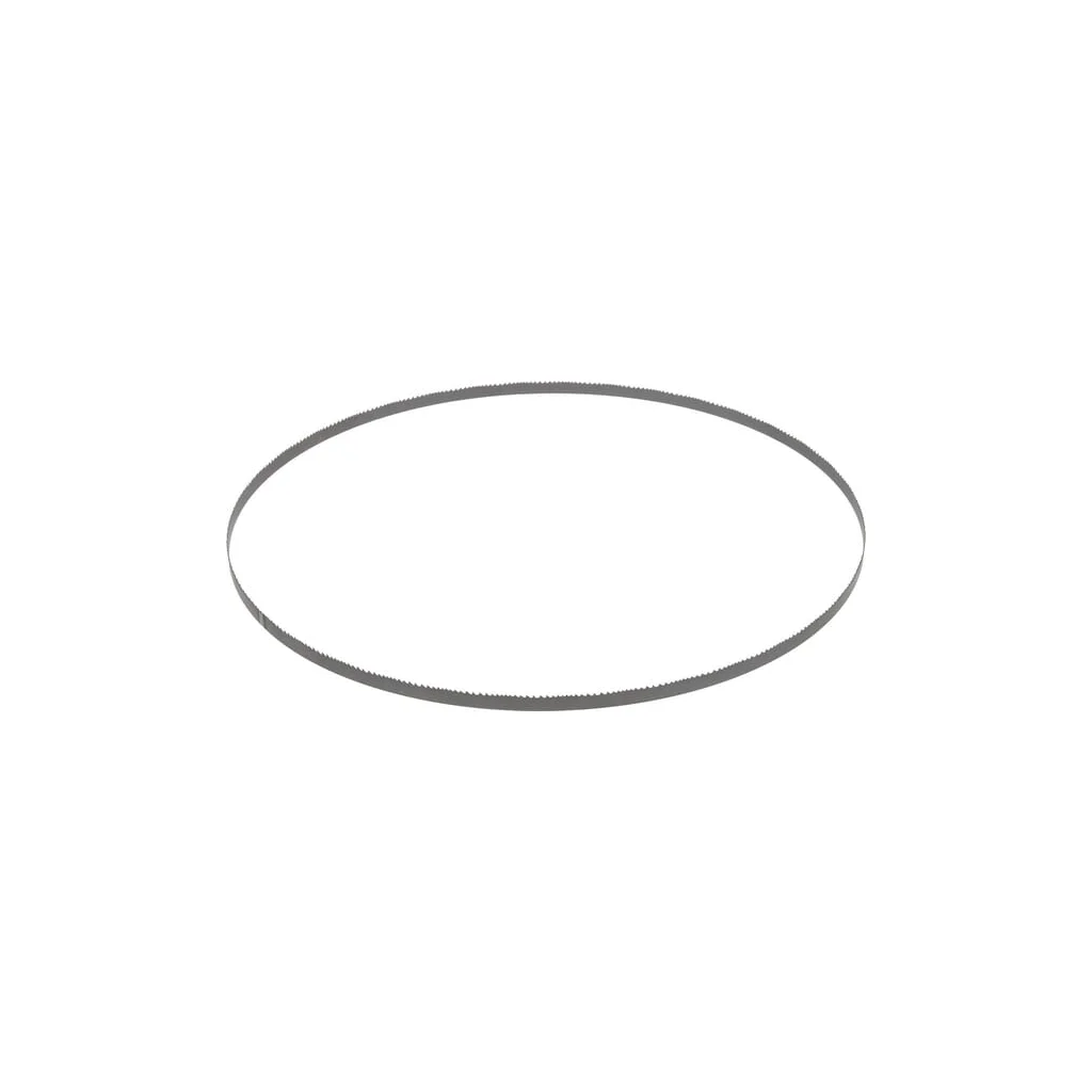 Pânză fierăstrău 1440x13x0,65mm 6/10 dinți 18300206236