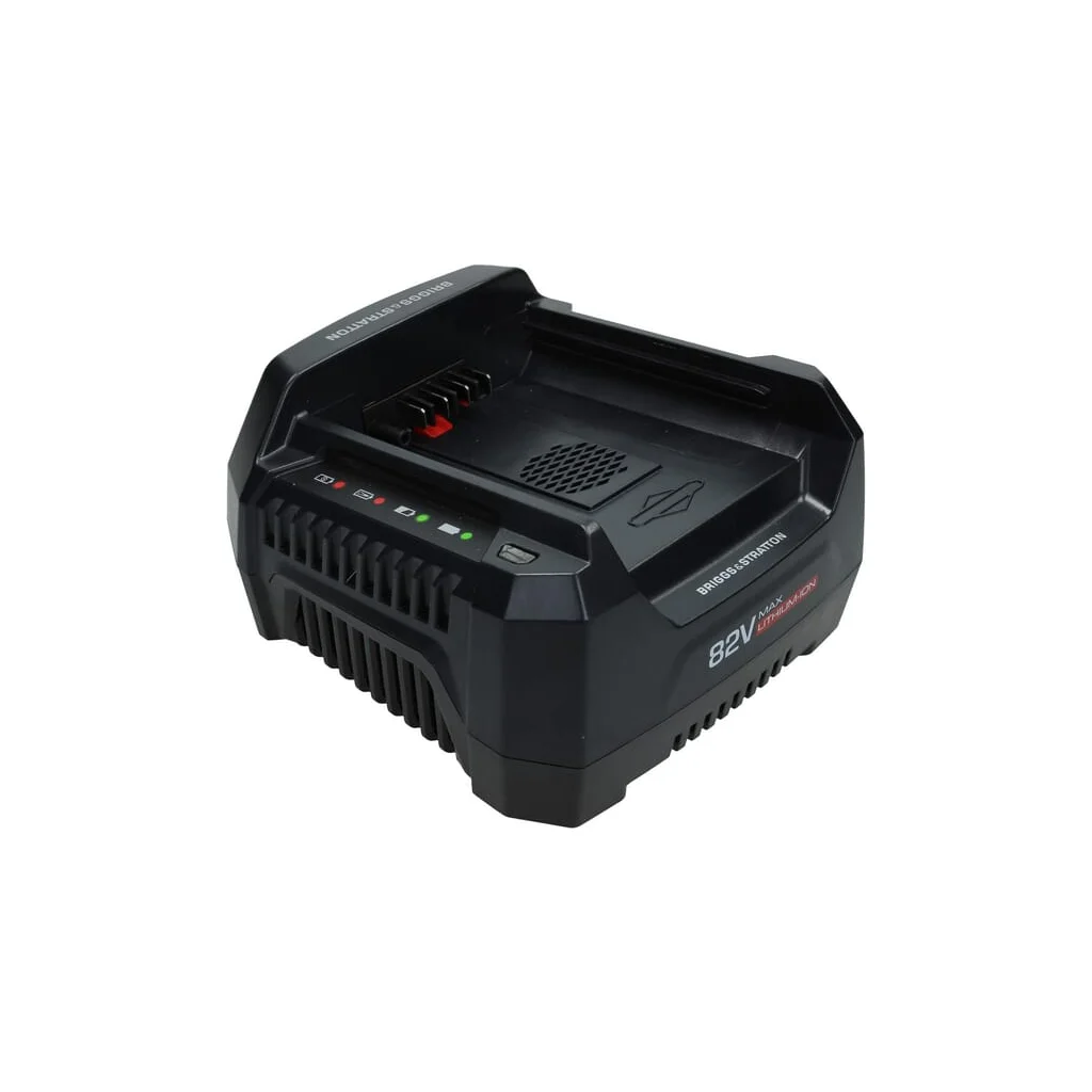 Încărcător de baterii 220v Briggs &amp, Stratton 1760264