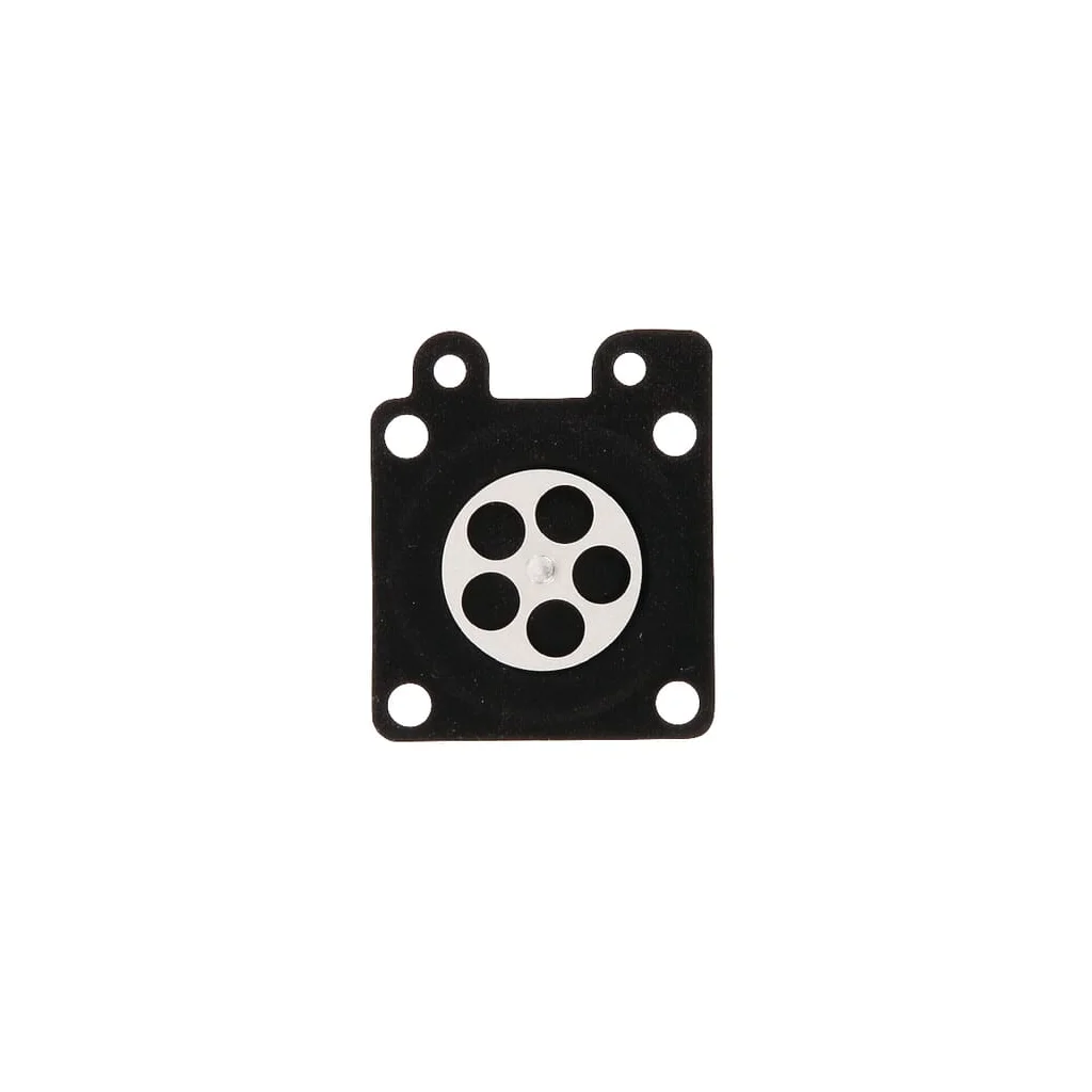 Membrane 16013Z0H003