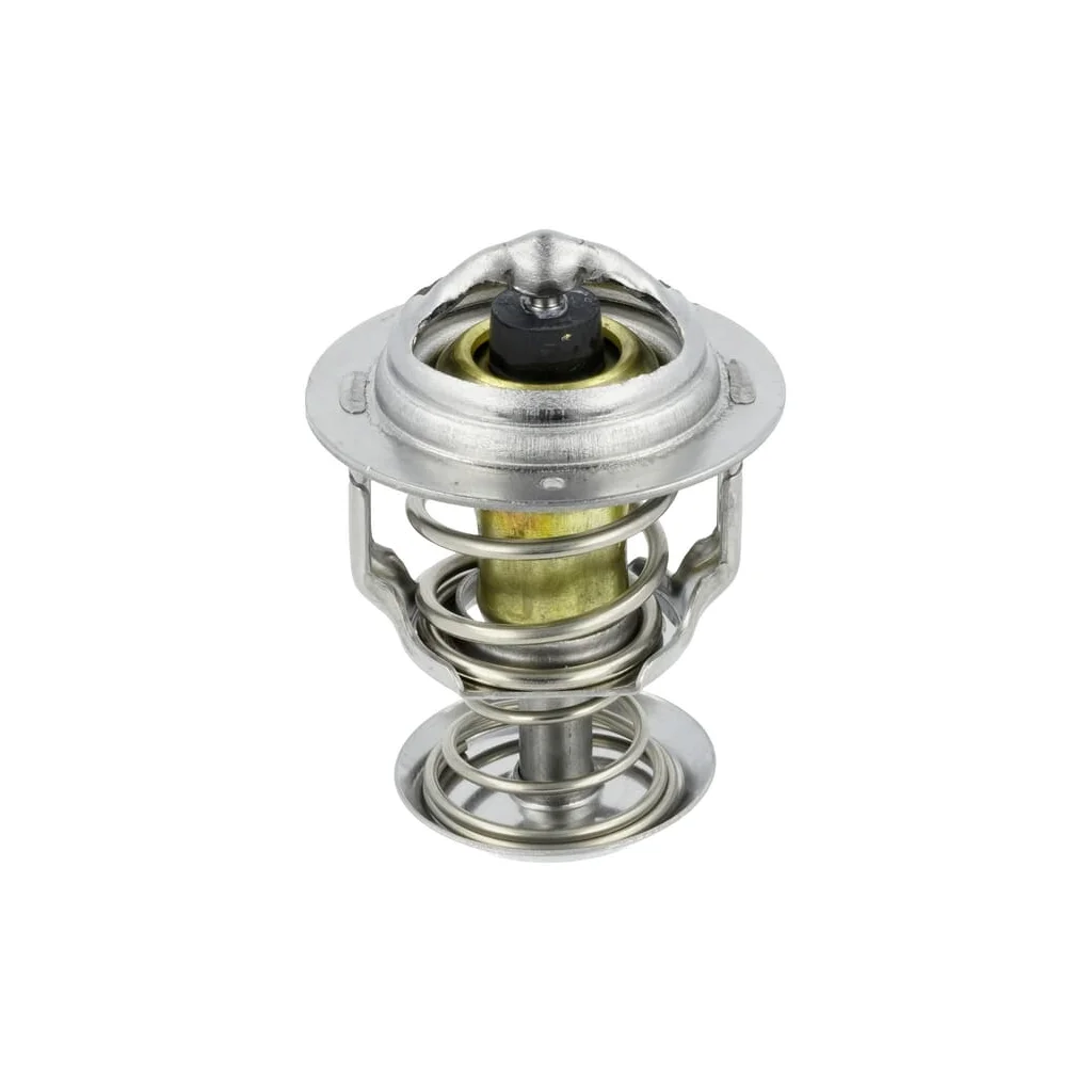 Termostat 1A02173013