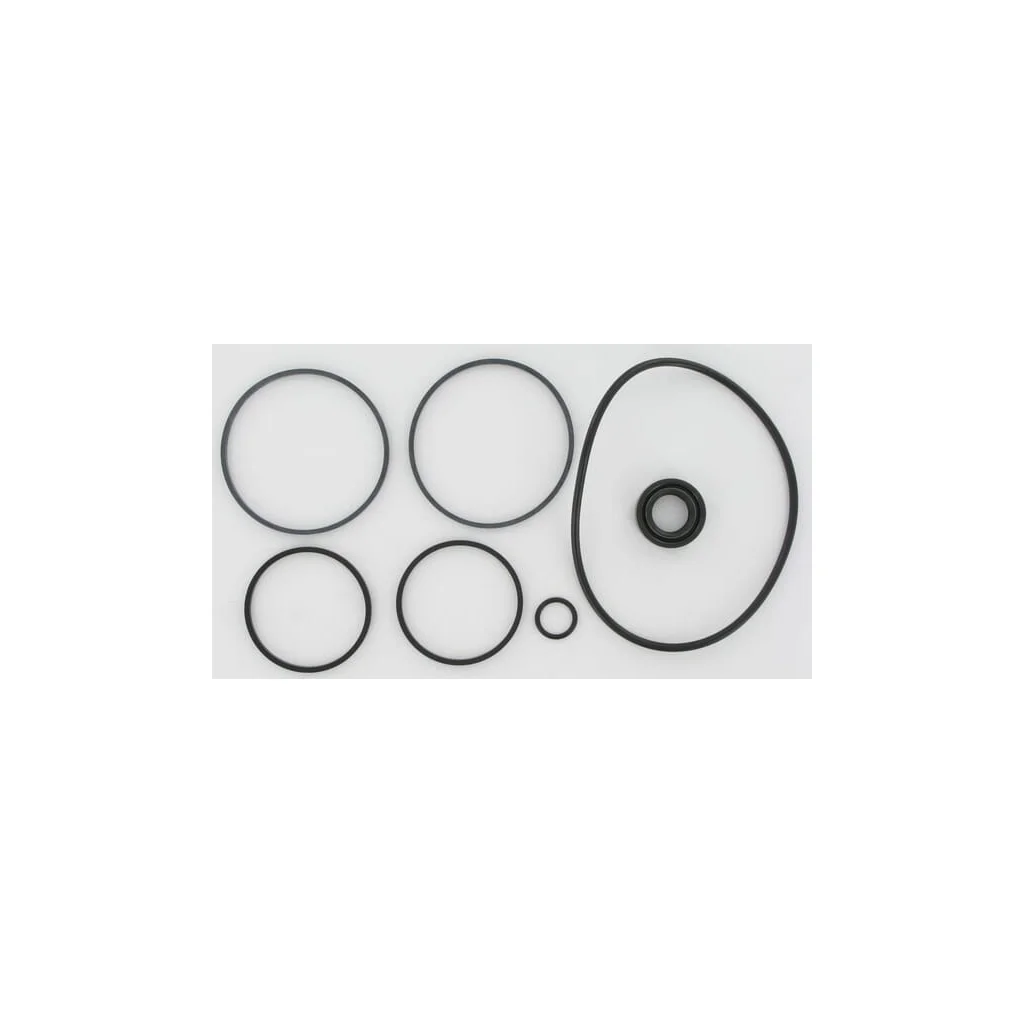 Set de garnituri 1810417M91GP