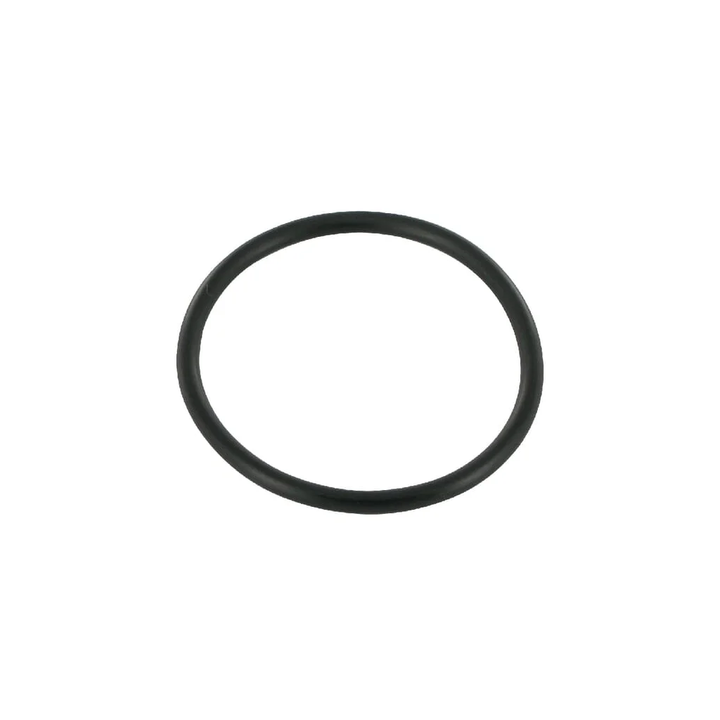 O-ring 195522M1KR