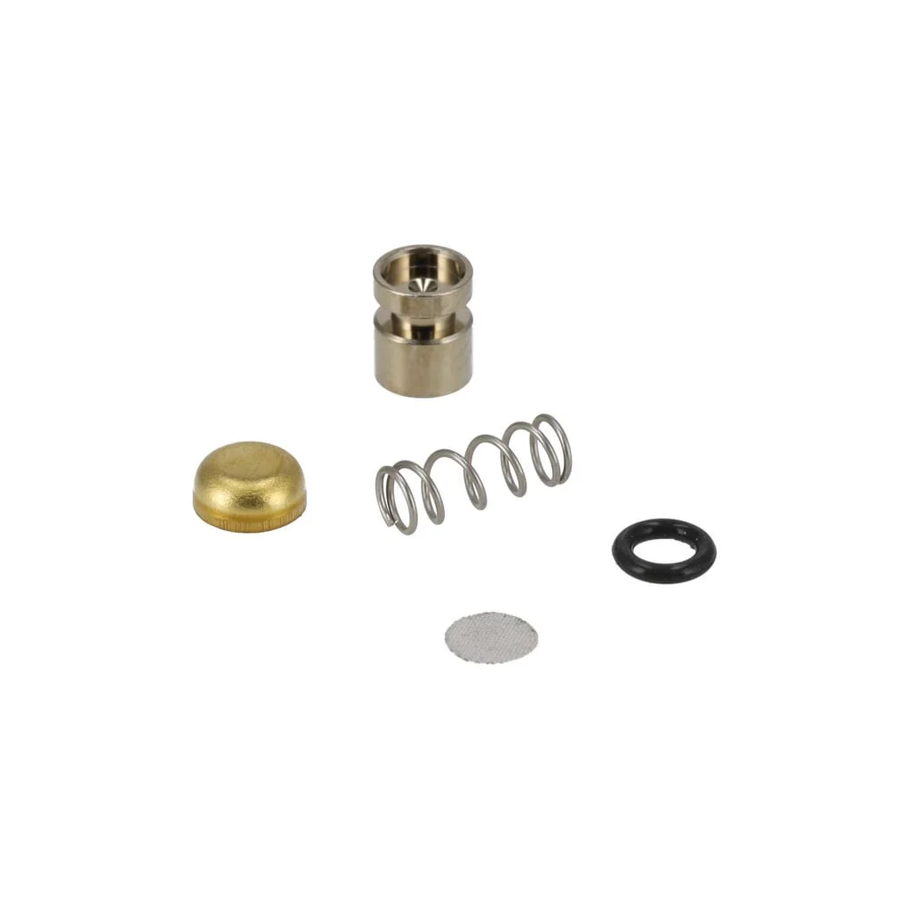 Kit piston pompă 11291209702