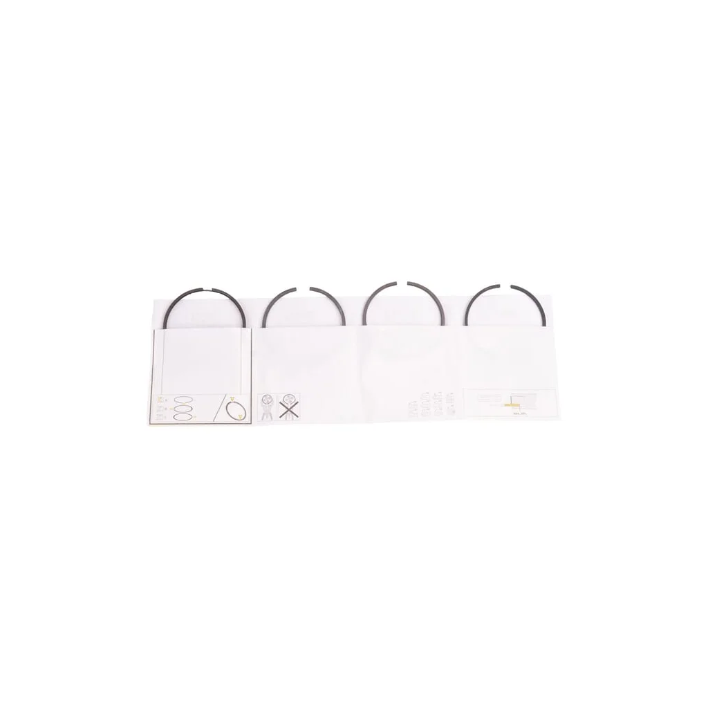 Set segmenti piston 95/mm 1756376N