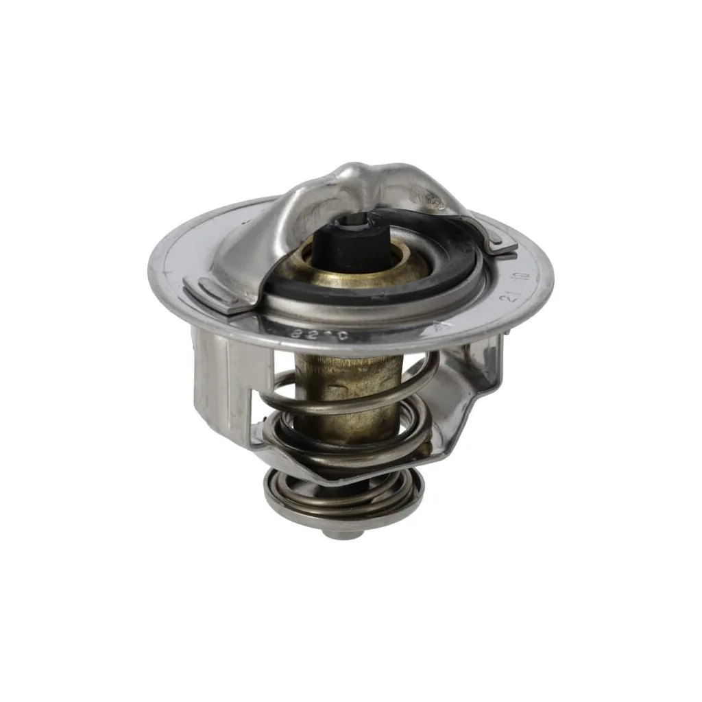 Ansamblu termostat 1G77273012