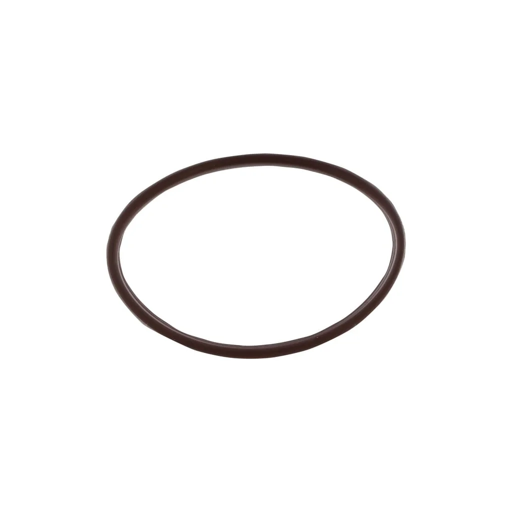 O-ring 17284281