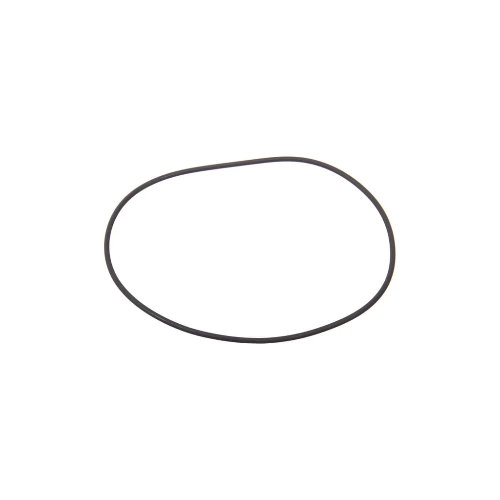 O-ring 215390640N