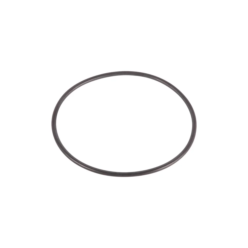 O-ring 215391140N