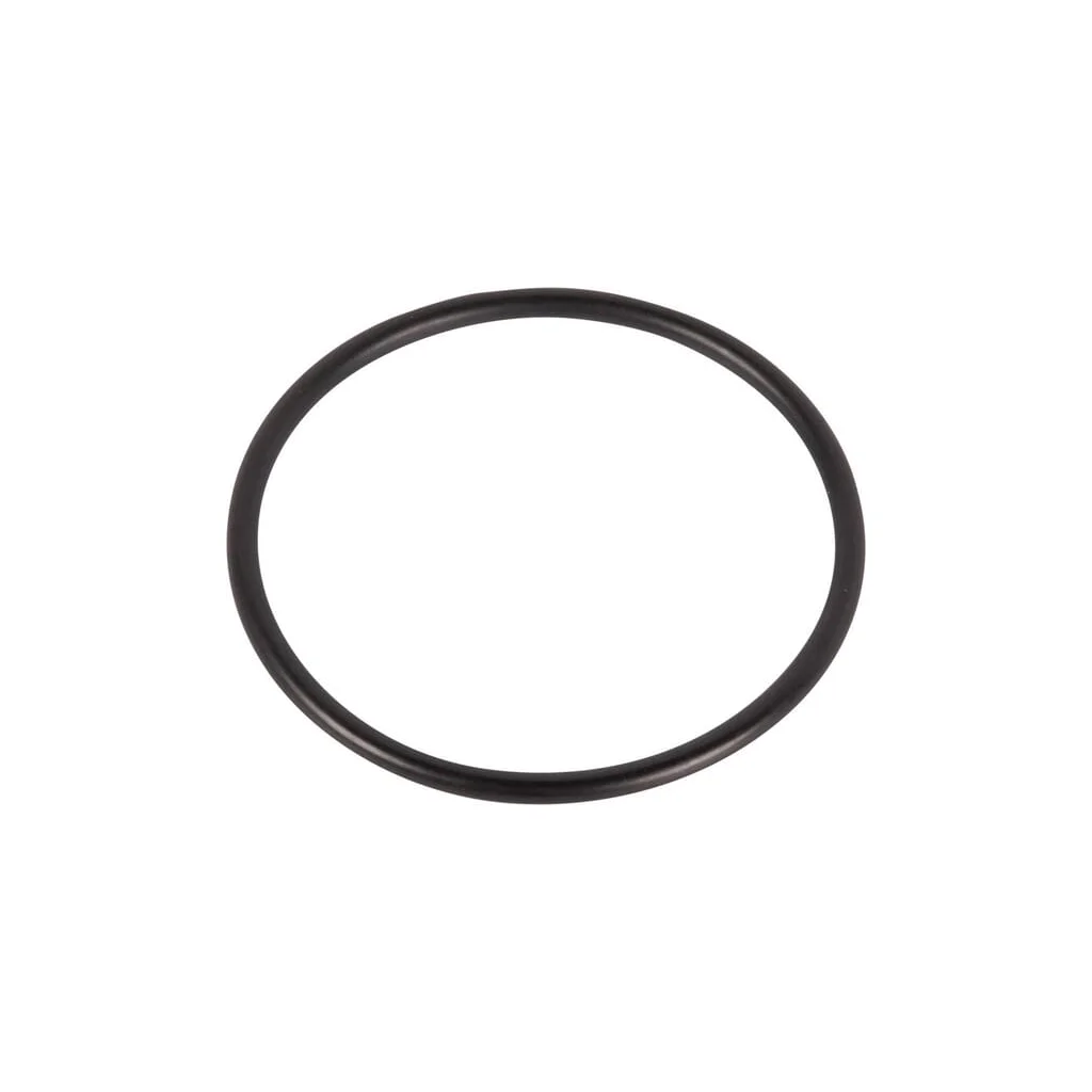 O-ring 215301160N
