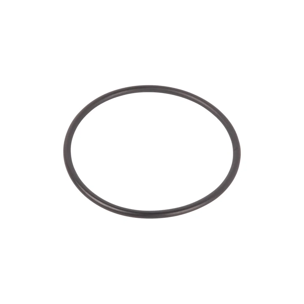 O-ring 215301700N