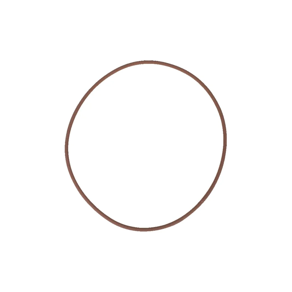 O-ring frână 215322560