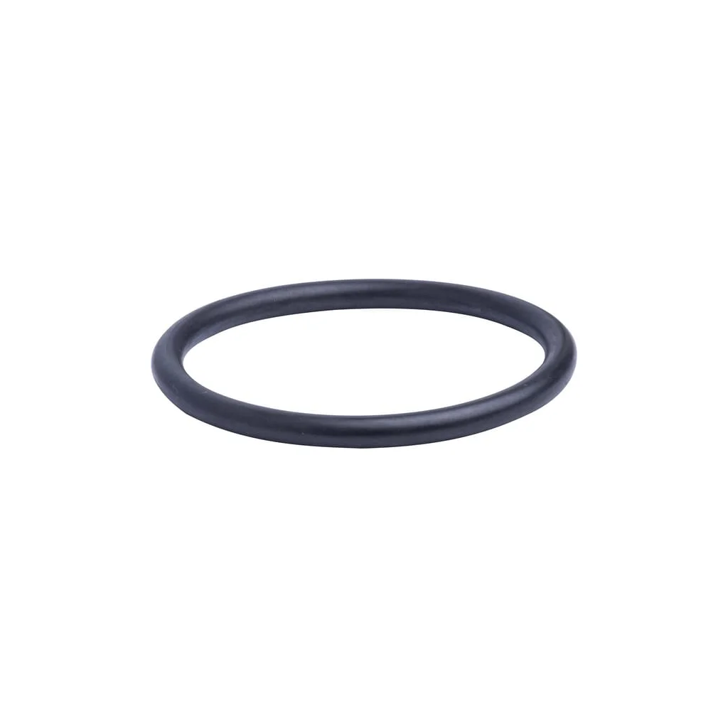 O-ring 215301460N
