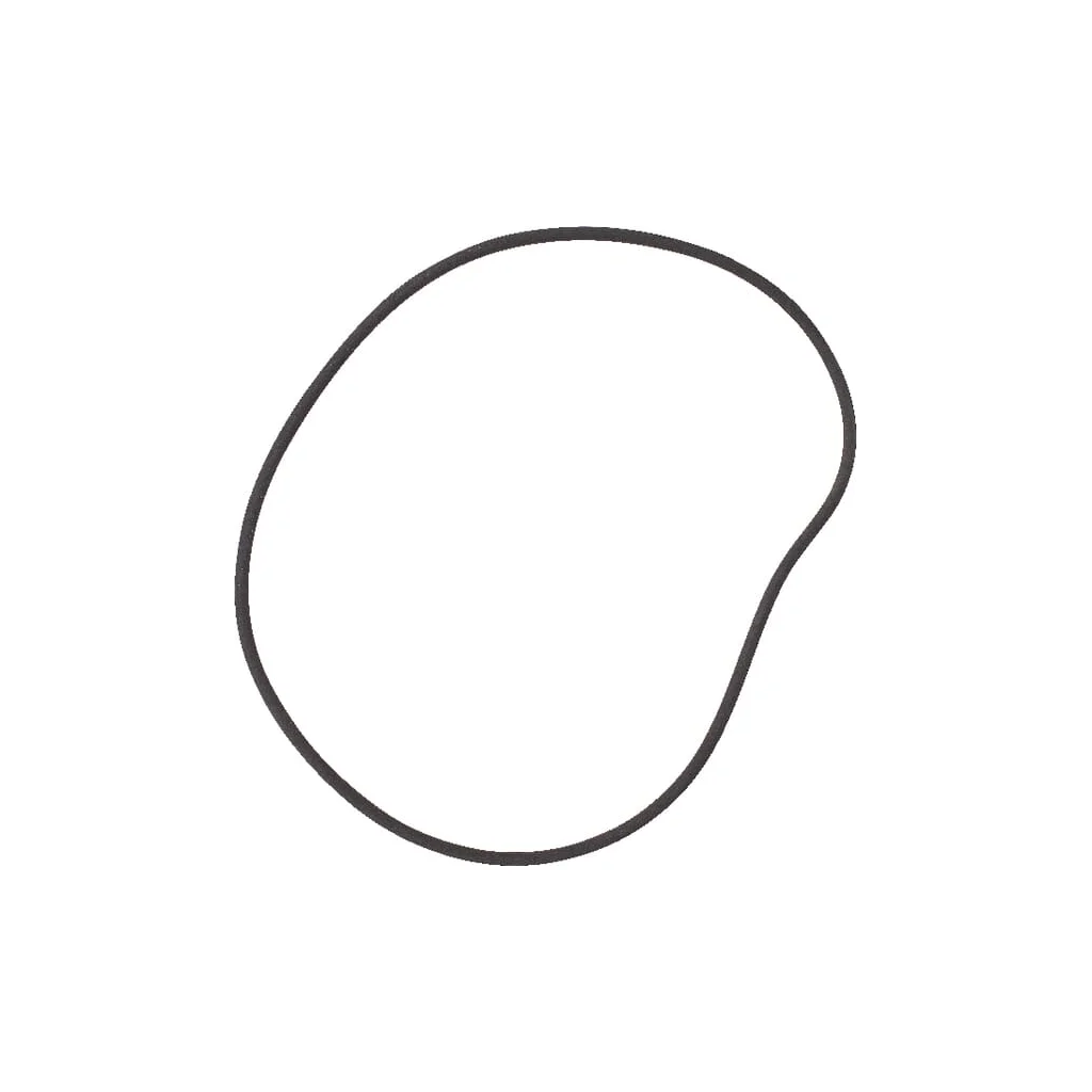 O-ring frână 215322530