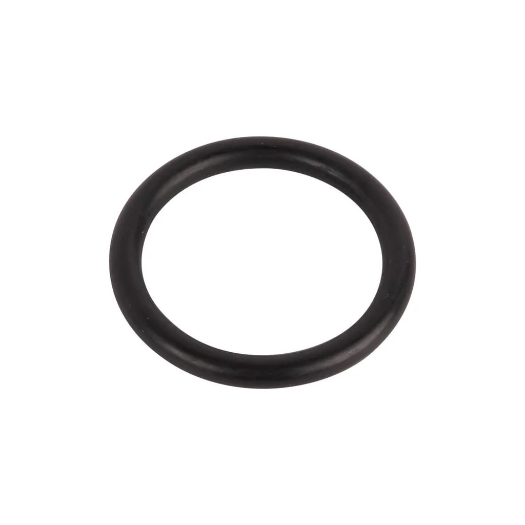 O-ring 215300970N