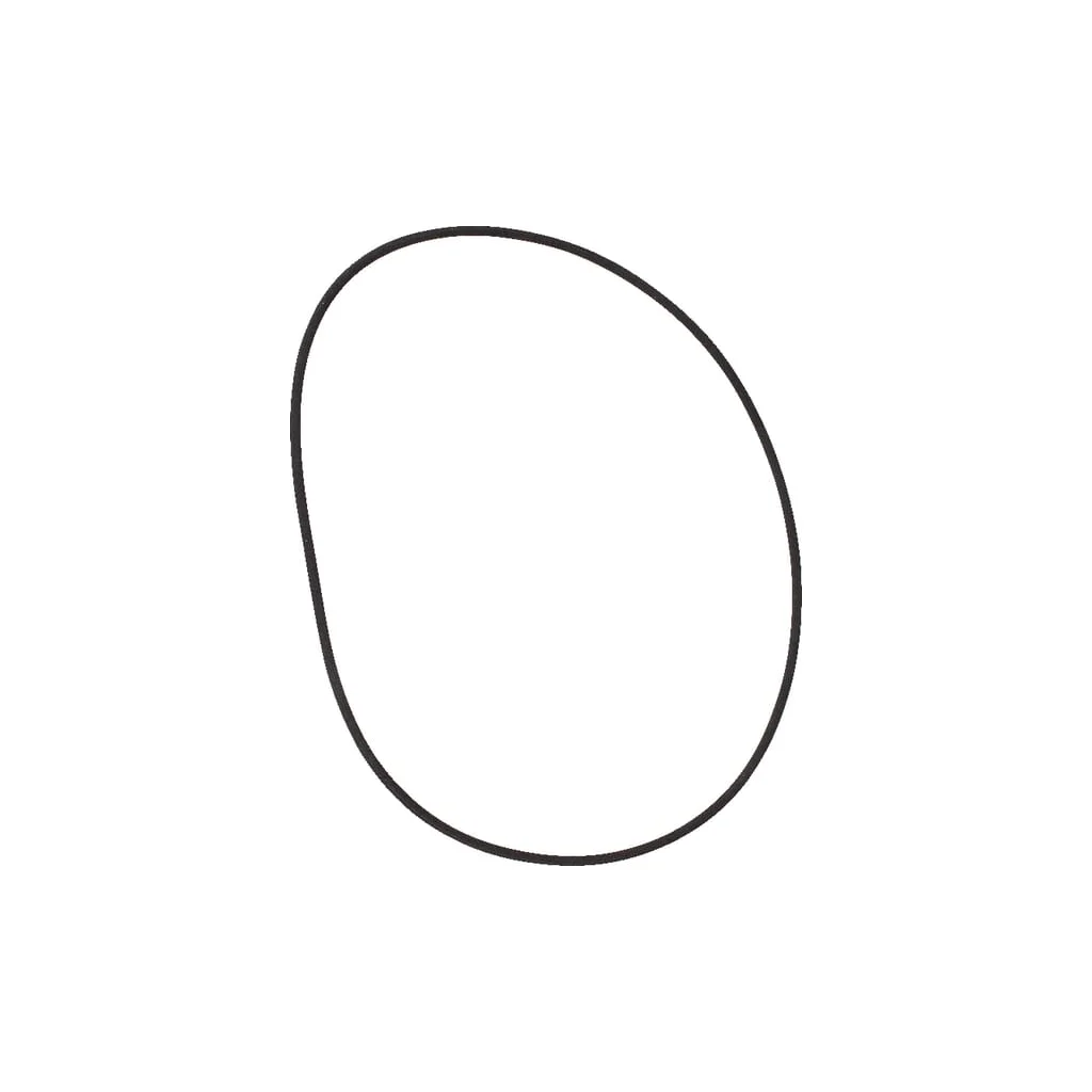 O-ring frână 215322870