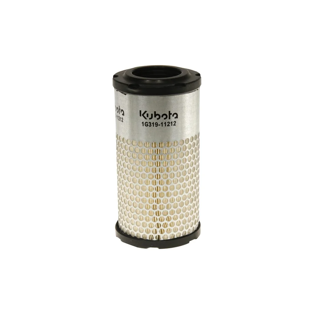 Filtru aer exterior principal 1G31911212