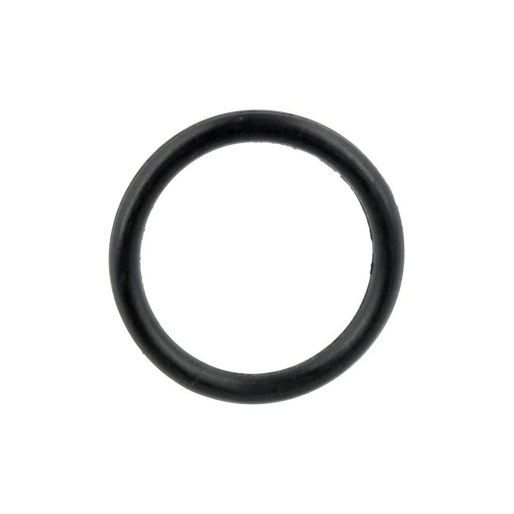 Simering 18,5x2,62mm 215390180