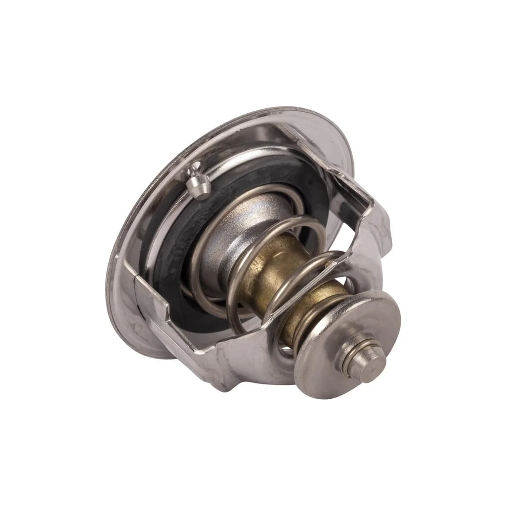 Termostat 1C01173013