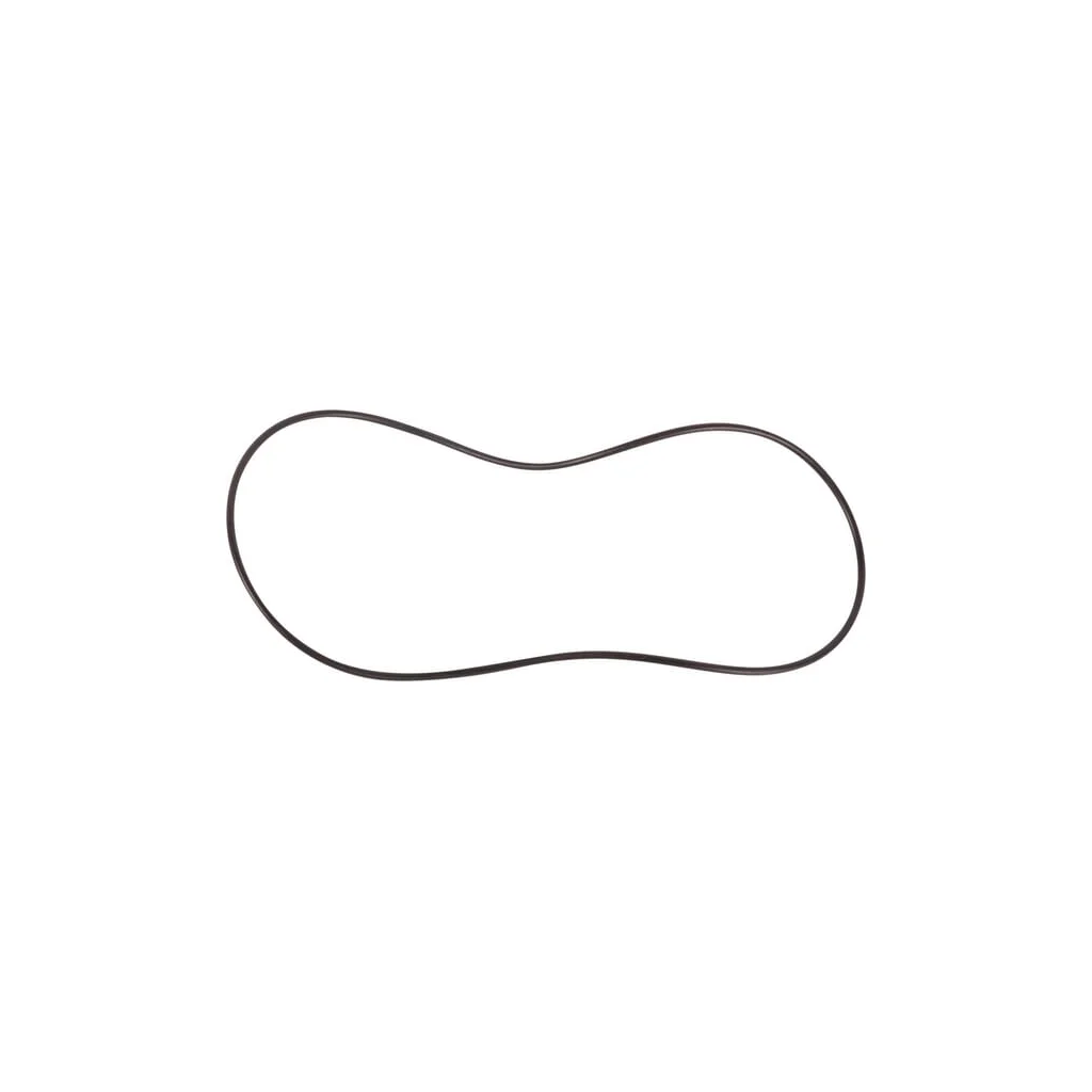 O-ring 21519096020N