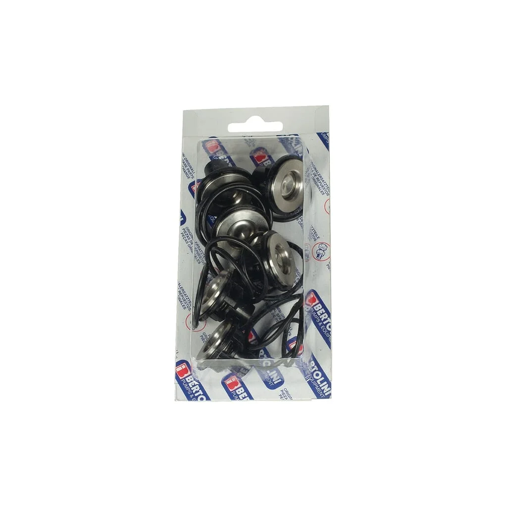 Set supape Bertolini 239829973